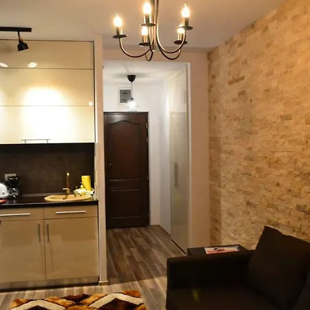 Apartament Golden Rose 1 Busteni Exterior photo