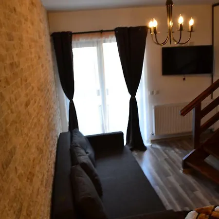 Apartament Golden Rose 1 Busteni Exterior photo