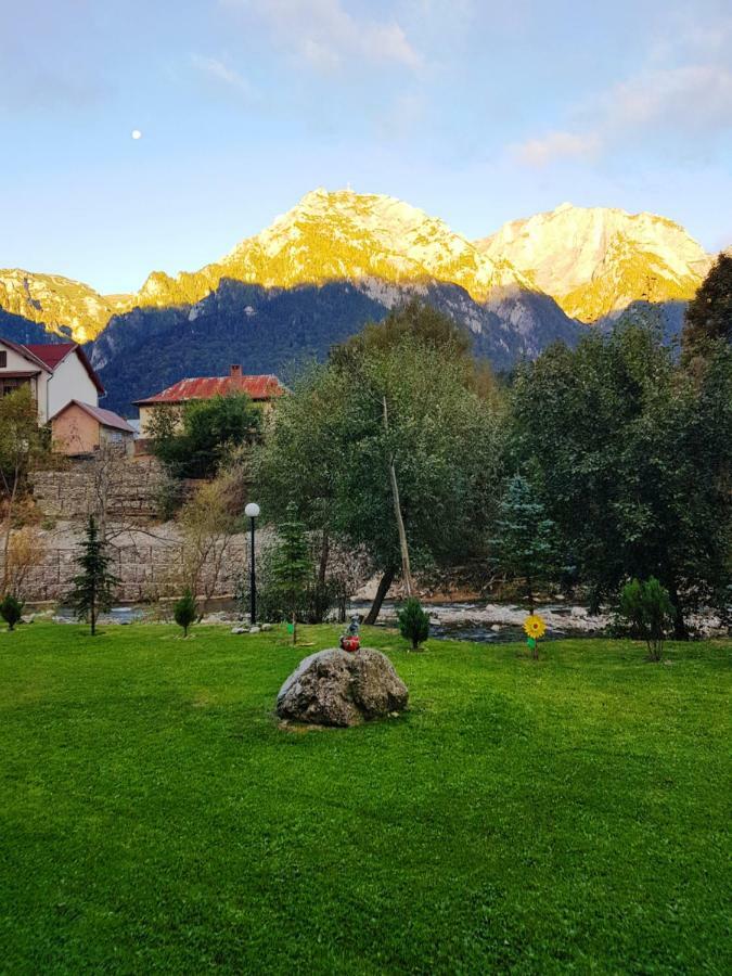 Golden Rose 1 Apartament Buşteni